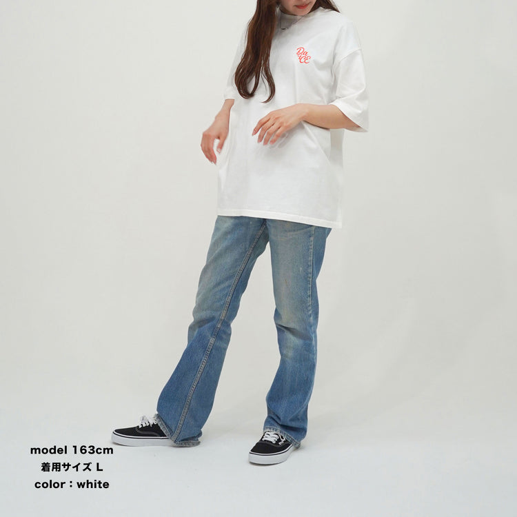 Da-iCE Graphic Fade S/S Tee