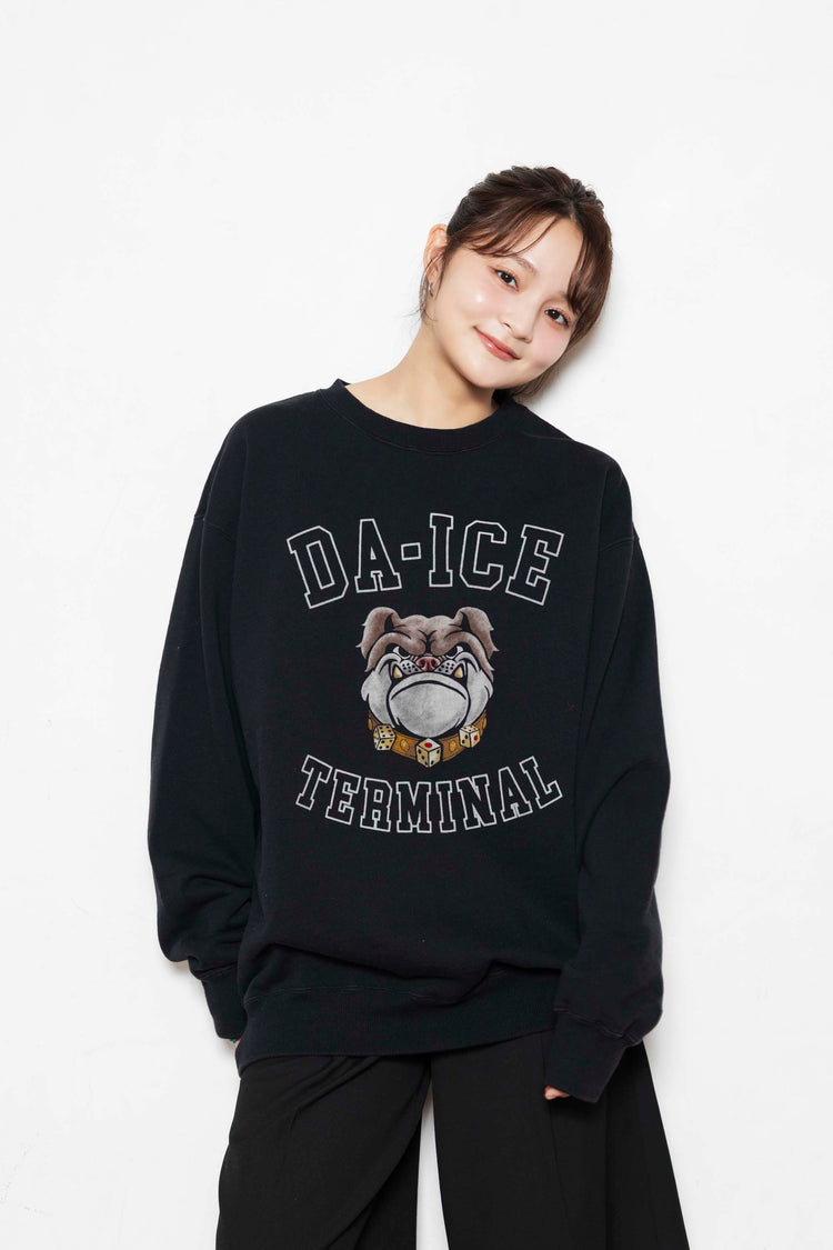 Da-iCE Color Flocky Sweat(black)