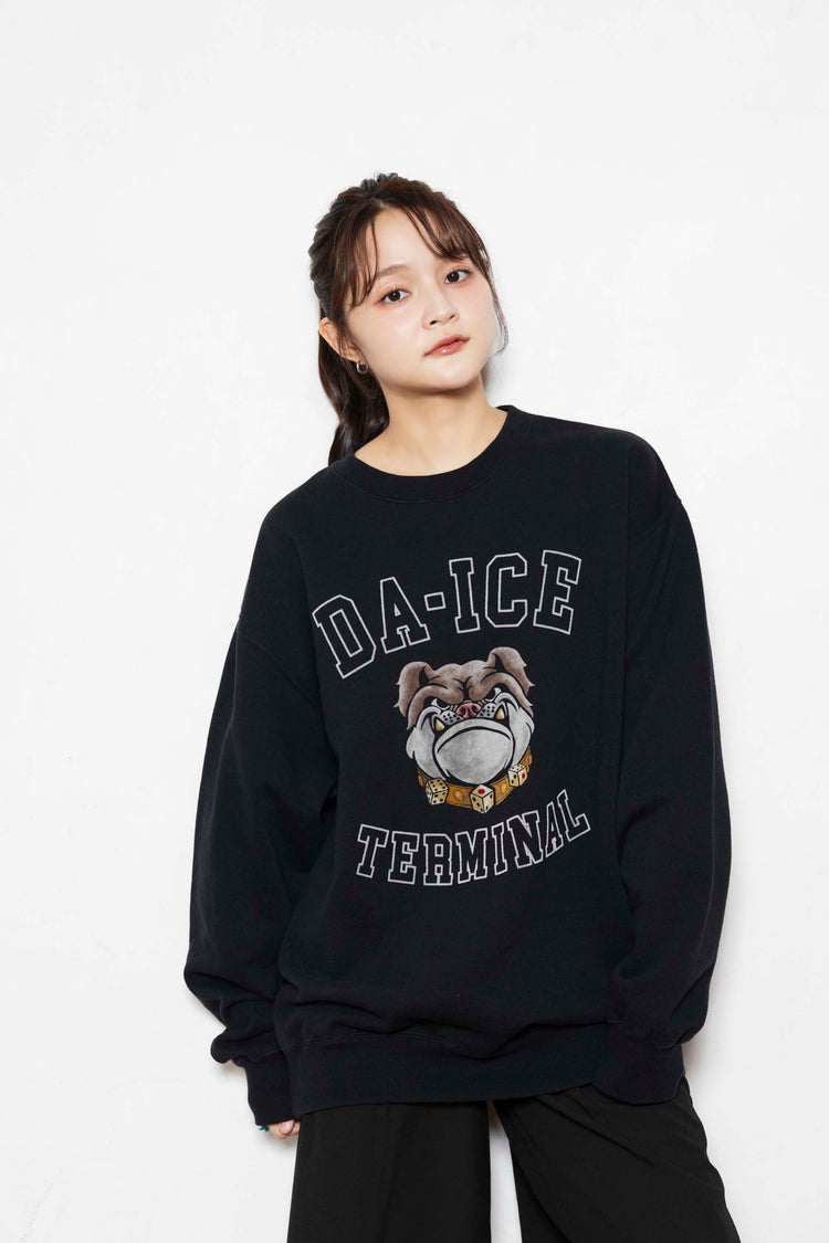 Da-iCE Color Flocky Sweat(black)